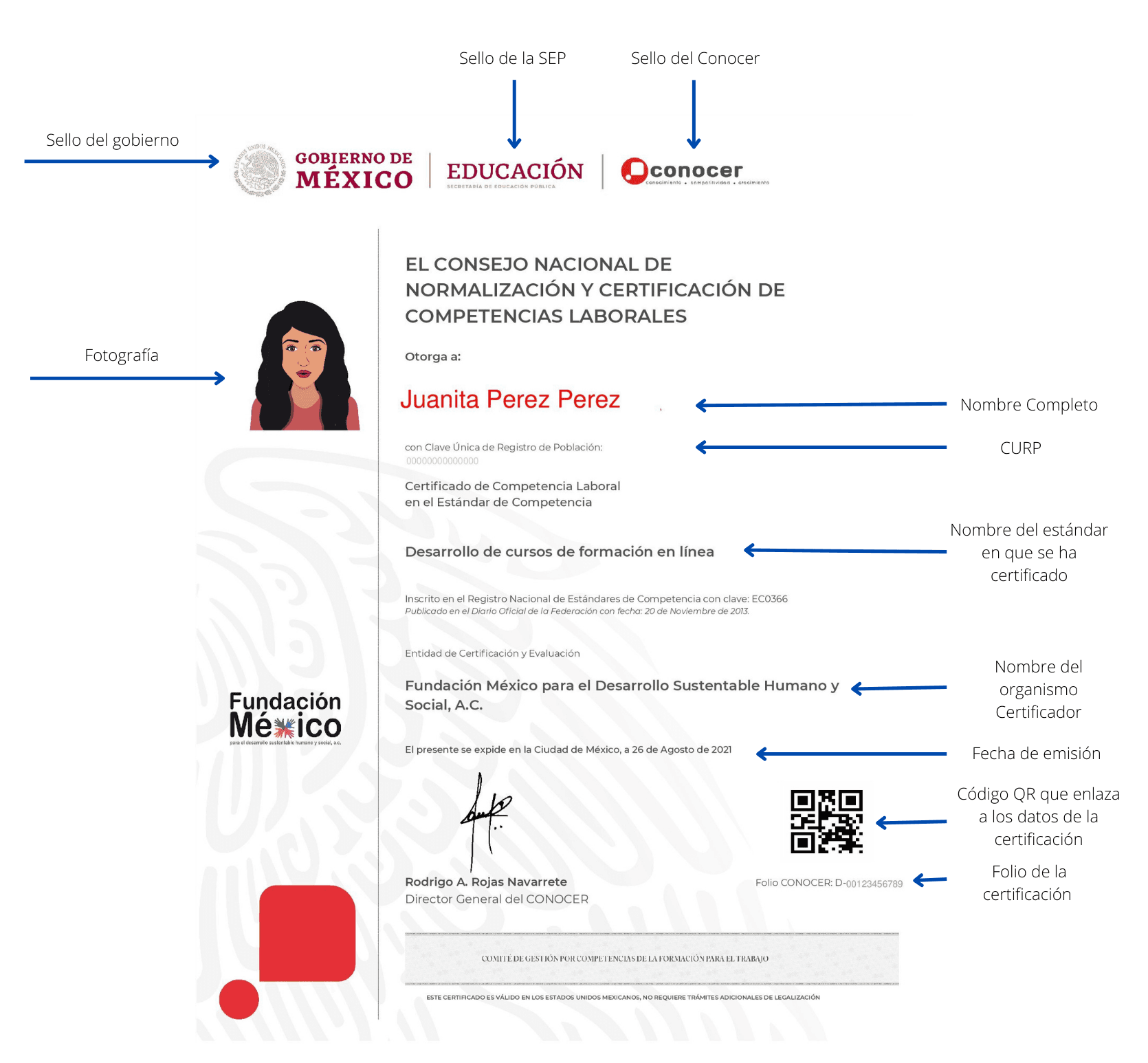 Certificación Profesional: Cuidados Gerontológicos Centrados en la Persona